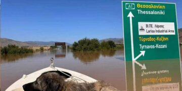 Alldaynews.gr Απίστευτο αυτό που ζούμε: Και όμως έτσι είναι σήμερα η εθνική οδός Θεσσαλονίκης – Λάρισας (φωτο, video)