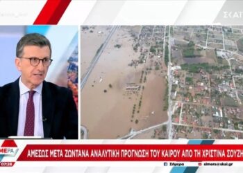 Απίστευτες εικόνες από εγκλωβισμένους ηλικιωμένους: Τα νερά βάζουν στα σπίτια και φίδια