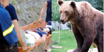 Alldaynews.gr «Πως έπεισα το θηρίο να μου χαρίσει τη ζωή»-Τι είπε ο άνθρωπος που πάλεψε με την Αρκούδα