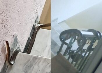 Απίστευτες εικόνες από εγκλωβισμένους ηλικιωμένους: Τα νερά βάζουν στα σπίτια και φίδια