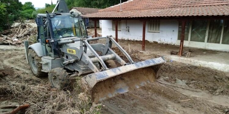 Alldaynews.gr Aγανακτισμένοι οι κάτοικοι στη Θεσσαλία 15 μέρες μετά: «Δεν έχει εμφανιστεί κανένας, δεν μπορούμε να πάρουμε ανάσα από τη δυσοσμία» (video)