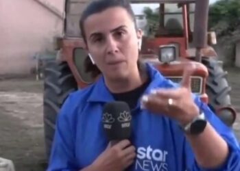Alldaynews.gr Έξαλλη η δημοσιογράφος του Star: «Μου είπε ο δήμαρχος ότι τα νεκρά ζώα στις γειτονιές πρέπει να τα μαζεύει ο κόσμος μόνος του» (video)