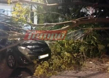 Alldaynews.gr Μητέρα περίμενε το παιδί της από το φροντιστήριο και έπεσε πάνω της δέντρο (φωτο)
