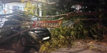 Alldaynews.gr Μητέρα περίμενε το παιδί της από το φροντιστήριο και έπεσε πάνω της δέντρο (φωτο)