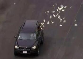 Διαρρήκτες φούρνου πετούσαν 50ευρα στον δρόμο στην καταδίωξη με τους άνδρες της ΔΙΑΣ