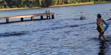 Alldaynews.gr Η στιγμή που αλιγάτορας επιτίθεται σε παιδιά που κολυμπούσαν σε λίμνη – Γονείς τρέχουν να τα βοηθήσουν (video)