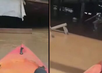 Απόκοσμο βίντεο από τη Λάρισα: Κτηνοτρόφος μπήκε στη μονάδα του με βάρκα και αντίκρισε 800 πνιγμένα πρόβατα