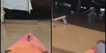 Alldaynews.gr Απόκοσμο βίντεο από τη Λάρισα: Κτηνοτρόφος μπήκε στη μονάδα του με βάρκα και αντίκρισε 800 πνιγμένα πρόβατα