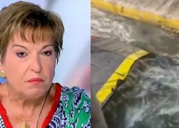 Alldaynews.gr «Ας τον πλάκωναν στις κλωτσιές»-Εμeτική δήλωση της Ιωάννας Μάνδρου για τον άτυχο 36χρονο