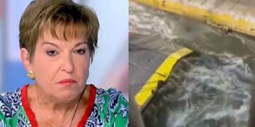 Alldaynews.gr «Ας τον πλάκωναν στις κλωτσιές»-Εμeτική δήλωση της Ιωάννας Μάνδρου για τον άτυχο 36χρονο