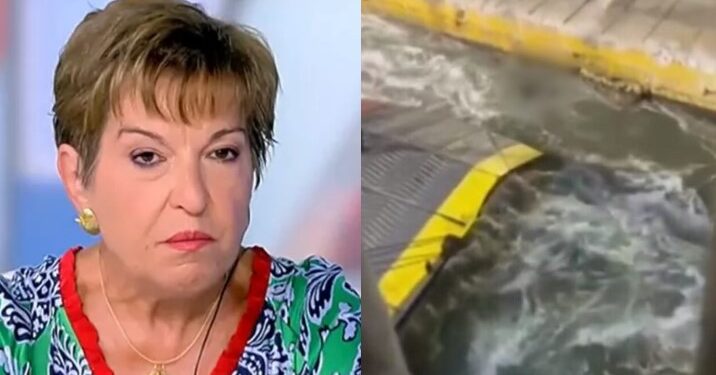 Alldaynews.gr «Ας τον πλάκωναν στις κλωτσιές»-Εμeτική δήλωση της Ιωάννας Μάνδρου για τον άτυχο 36χρονο