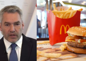 «Οι φτωχοί ας ταΐσουν τα παιδιά τους McDonald’s» – Σάλος με τη δήλωση του Αυστριακού καγκελάριου (video)