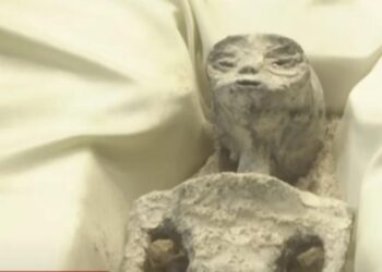 Ερευνητής UFO παρουσίασε στο Κογκρέσο δύο «μη ανθρώπινα» πτώματα (video)