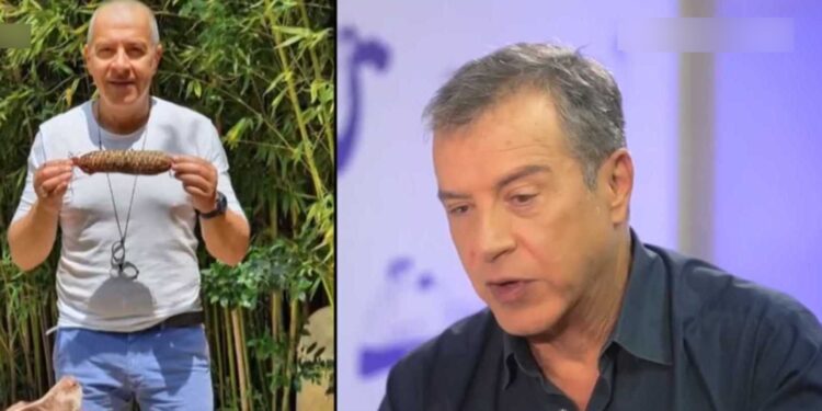 Alldaynews.gr Σταύρος Θεοδωράκης: «Με τον καρκίνο δεν ξεμπερδεύεις, είναι μία συνεχής μάχη»