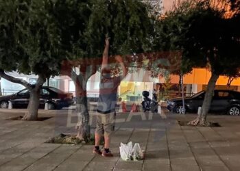 Πολίτες βγήκαν στο κέντρο της Αθήνας να μαζέψουν ελιές – Εκτοξεύτηκε η τιμή του ελαιολάδου