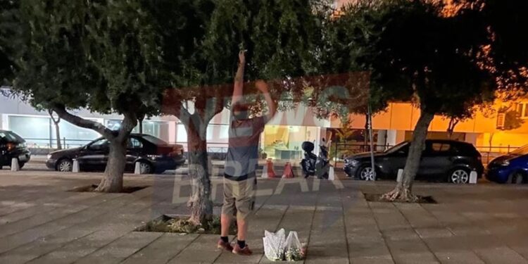 Alldaynews.gr Πολίτες βγήκαν στο κέντρο της Αθήνας να μαζέψουν ελιές – Εκτοξεύτηκε η τιμή του ελαιολάδου