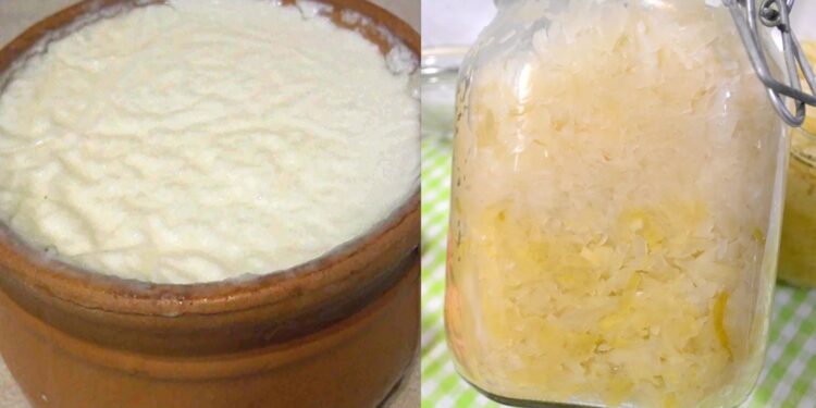 Alldaynews.gr Πού βρίσκονται τα «καλά» μικρόβια που αδυνατίζουν και ωφελούν την υγεία