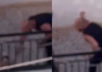 Νέα Κτηνωδία: Συνελήφθη 38χρονος που χτυπούσε τον σκύλο του στο μπαλκόνι[video]