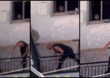 Alldaynews.gr Κτηνωδία: Συνελήφθη 38χρονος που χτυπούσε τον σκύλο του στο μπαλκόνι