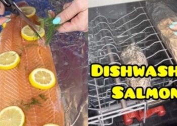 Έφτιαξε σολομό στο πλυντήριο πιάτων: «Την επόμενη φορά να βάλεις απορρυπαντικό για έξτρα γεύση»[video]