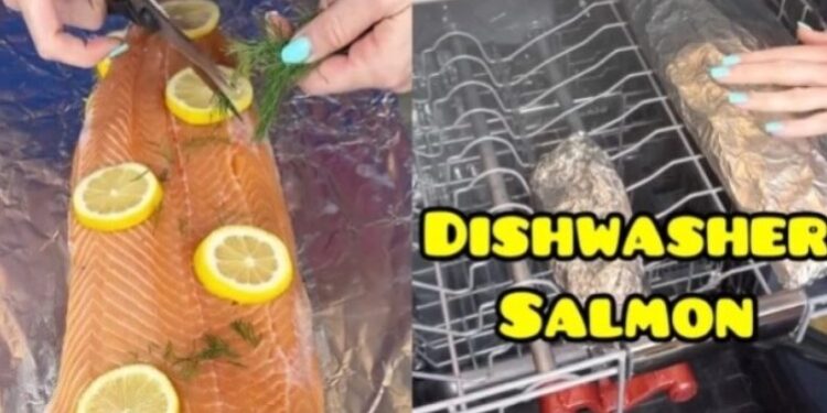Έφτιαξε σολομό στο πλυντήριο πιάτων: «Την επόμενη φορά να βάλεις απορρυπαντικό για έξτρα γεύση»[video]