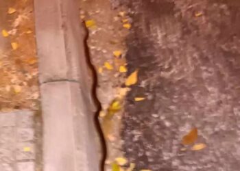 Κοζάνη: Φίδι σε κεντρικό σημείο της πόλης-”Πάγωσαν” όσοι το είδαν[video]