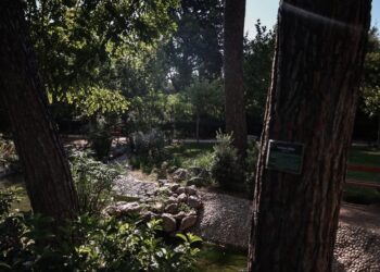 Θρίλερ στο Πεδίον του Άρεως: Εντοπίστηκε κρανίο πάνω σε δέντρο