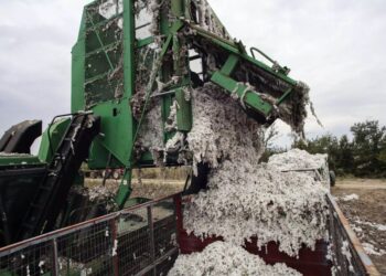 Νέα τραγωδία:  Νεκρός από ηλεκτροπληξία 53χρονος που μάζευε βαμβάκι – Χαροπαλεύει 17χρονος