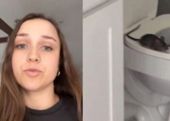 Εφιάλτης στην τουαλέτα – Κοπέλα έπαθε σοκ όταν άρχισαν να βγαίνουν αρουραίοι από τη λεκάνη[video]