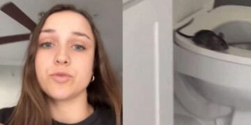 Εφιάλτης στην τουαλέτα – Κοπέλα έπαθε σοκ όταν άρχισαν να βγαίνουν αρουραίοι από τη λεκάνη[video]