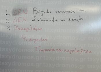 Δημ. Εκλογές: Οι Απίστευτες οδηγίες σε εκλογικό κέντρο του Βόλου