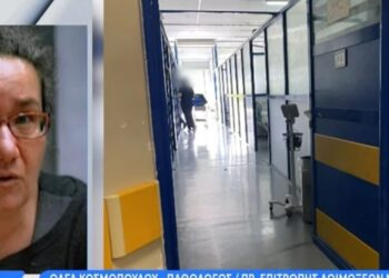 Alldaynews.gr Τραγική η κατάσταση στο νοσοκομείο Νίκαιας – «Βρέθηκε μία φωλιά από σφίγγες μέσα σε έναν θάλαμο» λέει παθολόγος