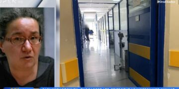 Alldaynews.gr Τραγική η κατάσταση στο νοσοκομείο Νίκαιας – «Βρέθηκε μία φωλιά από σφίγγες μέσα σε έναν θάλαμο» λέει παθολόγος