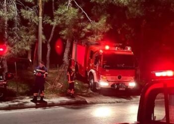 Θρίλερ στον Βύρωνα: Βρέθηκε πτώμα γυναίκας σε λόφο[Φωτογραφίες]