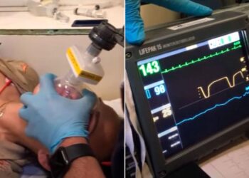 Alldaynews.gr Αγωνιώδης προσπάθεια στο ΕΚΑΒ να διασωληνωθεί η 39χρονη Κωνσταντίνα που είχε δαγκωθεί από οχιά σε σχολείο της Θεσσαλονίκης (video)