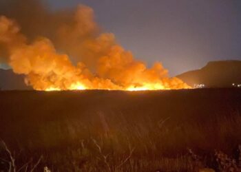 Σε πλήρη εξέλιξη η φωτιά στον Μαραθώνα: Ισχυροί άνεμοι στην περιοχή δυσχεραίνουν το έργο της Πυροσβεστικής