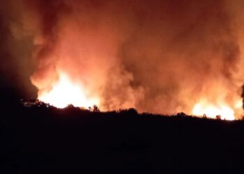 Μεγάλη Φωτιά στον Μαραθώνα – Ενισχύθηκαν οι δυνάμεις της Πυροσβεστικής