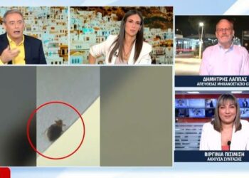 Νέα Καταγγελία για κοριούς σε ξενοδοχείο στο κέντρο της Αθήνας: «Το σώμα της κόρης μου γέμισε τσιμπήματα»