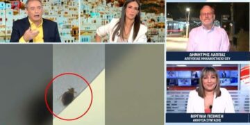 Alldaynews.gr Νέα Καταγγελία για κοριούς σε ξενοδοχείο στο κέντρο της Αθήνας: «Το σώμα της κόρης μου γέμισε τσιμπήματα»