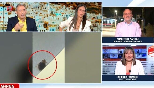 Alldaynews.gr Νέα Καταγγελία για κοριούς σε ξενοδοχείο στο κέντρο της Αθήνας: «Το σώμα της κόρης μου γέμισε τσιμπήματα»