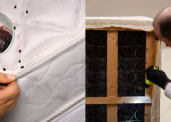 Έφτασαν και στην Ελλάδα: Έκλεισε πτέρυγα ξενοδοχείου στην Αττική λόγω κοριών