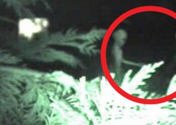 Εταιρεία προσφέρει ένα εκατομμύριο ευρώ σε όποιον καταφέρει να αποδείξει την ύπαρξη εξωγήινων (video)