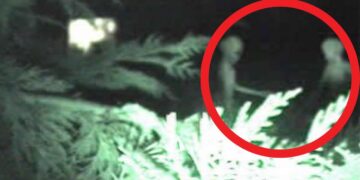 Εταιρεία προσφέρει ένα εκατομμύριο ευρώ σε όποιον καταφέρει να αποδείξει την ύπαρξη εξωγήινων (video)