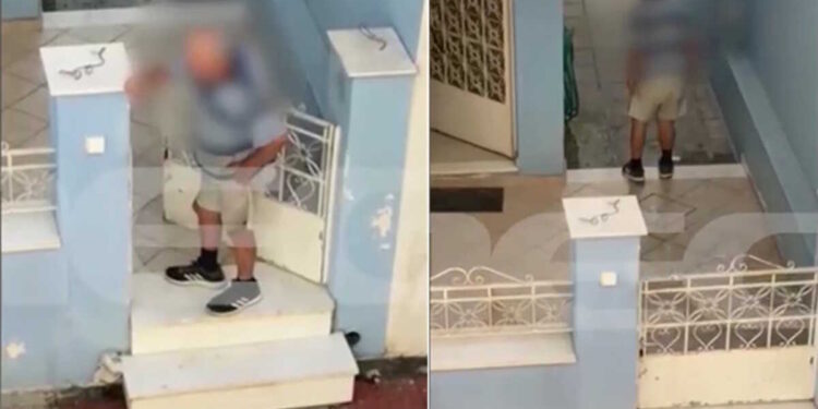 Alldaynews.gr Φρίκη στη Νέα Φιλαδέλφεια! Έφραξε με πανί το λούκι του σπιτιού του και έπνιξε δύο γατάκια