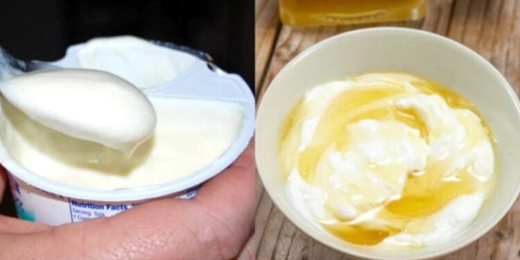 Alldaynews.gr Το γιαούρτι είναι καλό για το έντερό σoυ – Εκτός αν κάνεις αuτά τα 3 λάθη