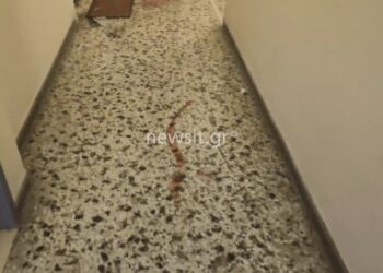 Alldaynews.gr Άγιος Παντελεήμονας: Συγκλονιστική μαρτυρία γείτονα για το μακελειό – «Ακούσαμε πυροβολισμούς, ουρλιαχτά και φωνές για βοήθεια»