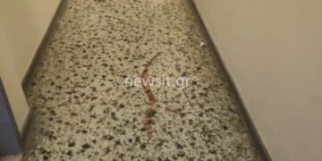 Άγιος Παντελεήμονας: Συγκλονιστική μαρτυρία γείτονα για το μακελειό – «Ακούσαμε πυροβολισμούς, ουρλιαχτά και φωνές για βοήθεια»