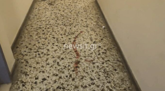 Άγιος Παντελεήμονας: Συγκλονιστική μαρτυρία γείτονα για το μακελειό – «Ακούσαμε πυροβολισμούς, ουρλιαχτά και φωνές για βοήθεια»