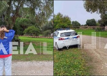 Θρίλερ στην Κυλλήνη: Άνδρας βρέθηκε νεκpός & κpεμασμένος από δέντρο – Ήταν σε προχωρημένη σήψη