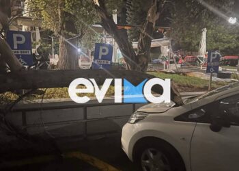 Alldaynews.gr Χαλκίδα Εύβοια Bettina